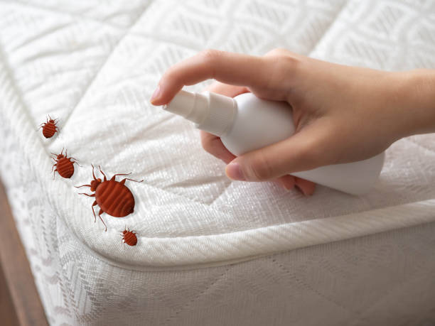 Best Pest Control for Multi-Family Homes  in Holly Hill, SC